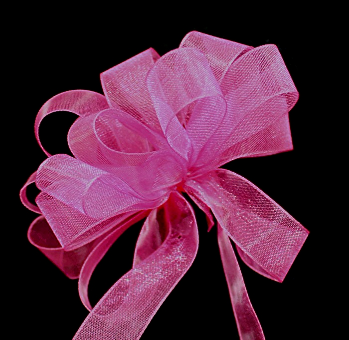 ribbon satin 1 1/2 #5 hot pink