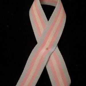 Transgender Pride RIbbon