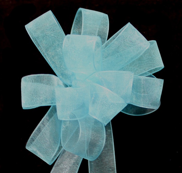 Light Blue Wired Organdy Ribbon