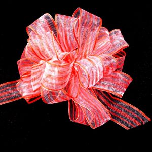 striped sheer ribbon