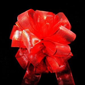 Red Sheer Ribbon