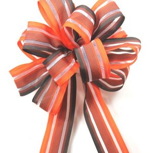 Wired fall ombre ribbon