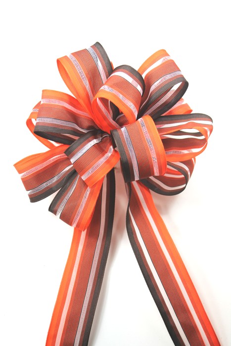 Wired fall ombre ribbon