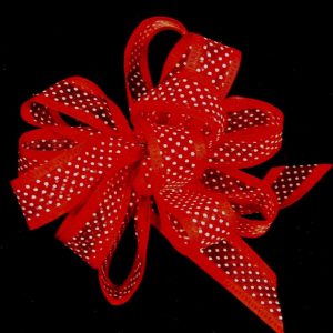 sheer dot ribbon