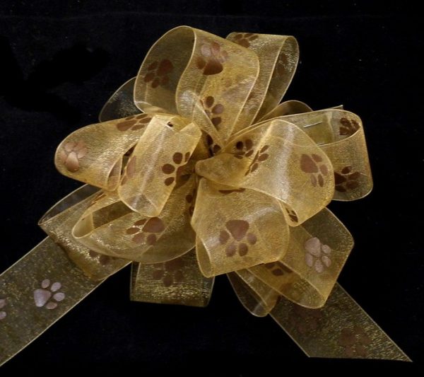 Toffee Sheer Paw Print Ribbon, 25 yards-SHPAW-TF