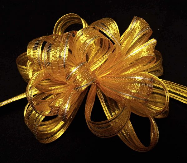 Tinsel Stripe Chiffon - Image 2