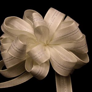 elegant ribbon