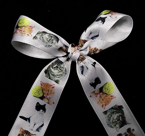 cat ribbon