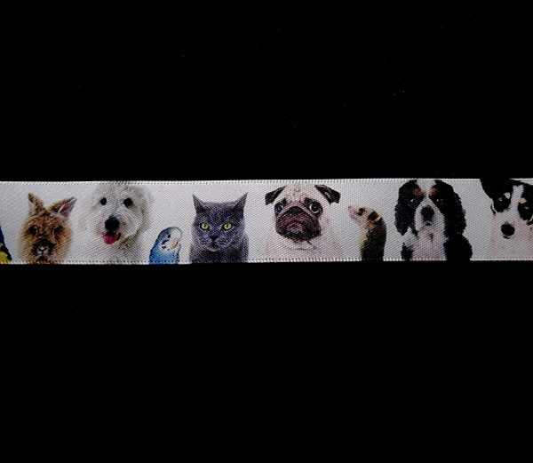 All Animals - Image 2