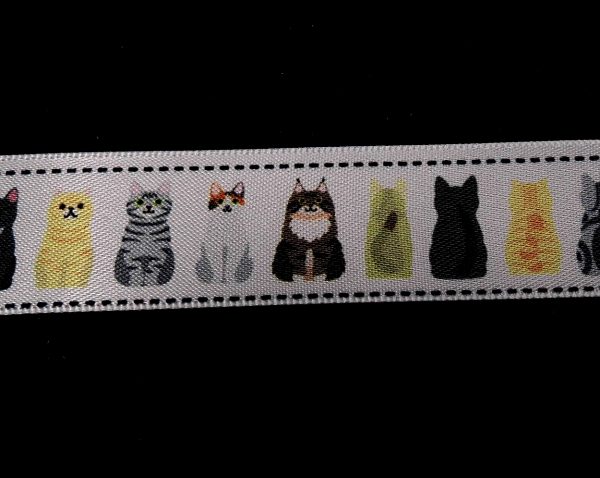 Front & Back Cats - Image 2