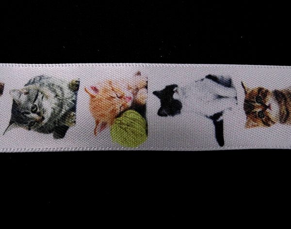 Real Cats - Image 2