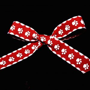 Paw Ribbon