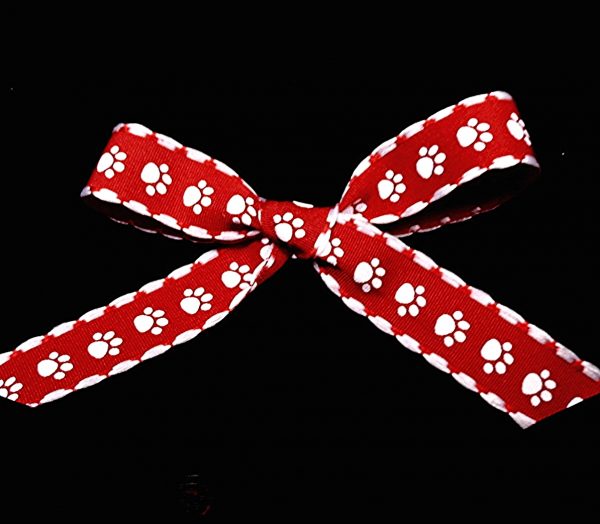 Paw Ribbon