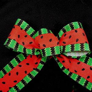 wired watermelon ribbon