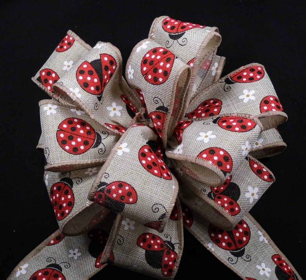 ladybug ribbon