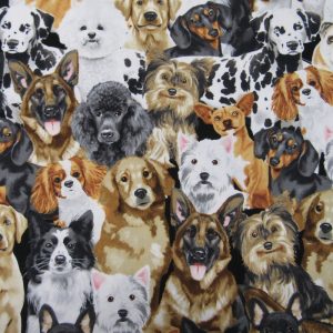 Novelty Fabric