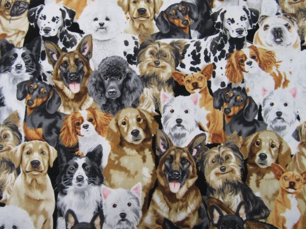 Novelty Fabric