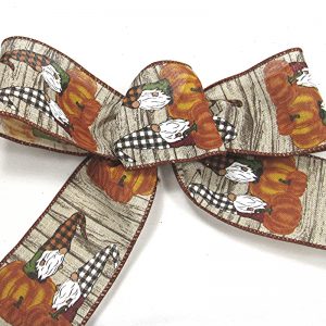 wired gnomes ribbon