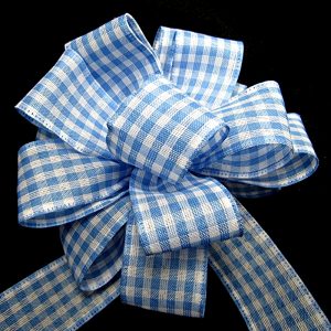 gingham check ribbon