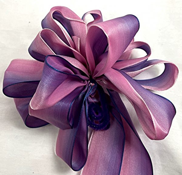 Wired French Ombre - Image 5