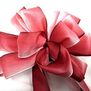 wired ombre ribbon