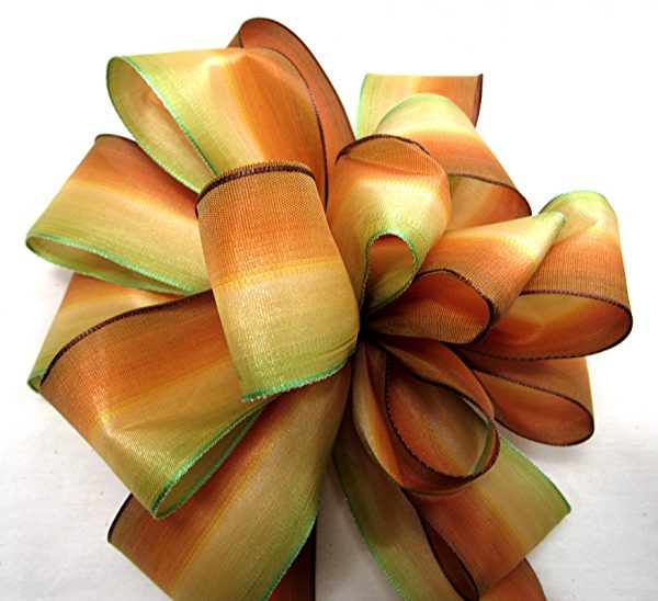 Wired French Ombre - Image 2