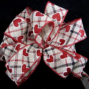 valentine's plaid ribbon