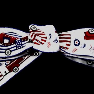 4th of July Camping Ribbon