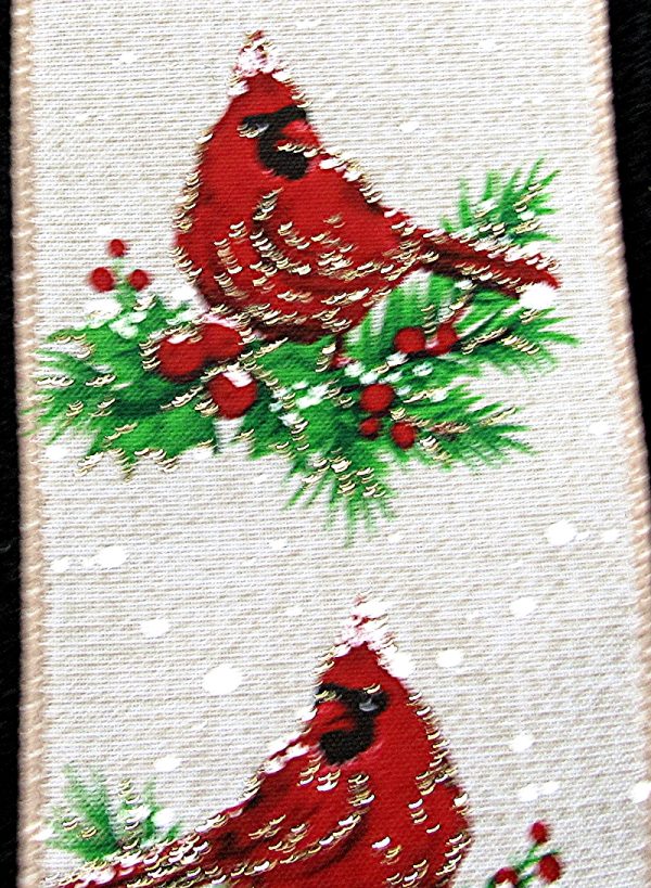 winter cardinal