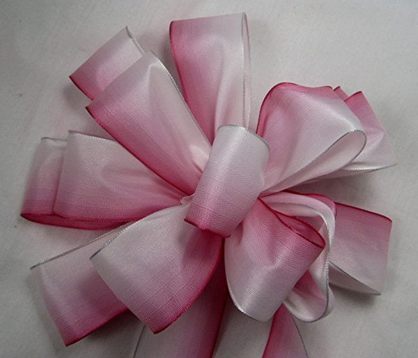 Wired French Ombre - Image 6
