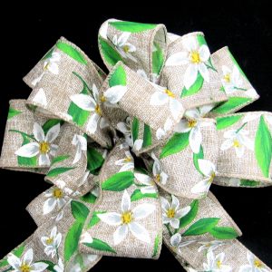 Lilly Ribbon