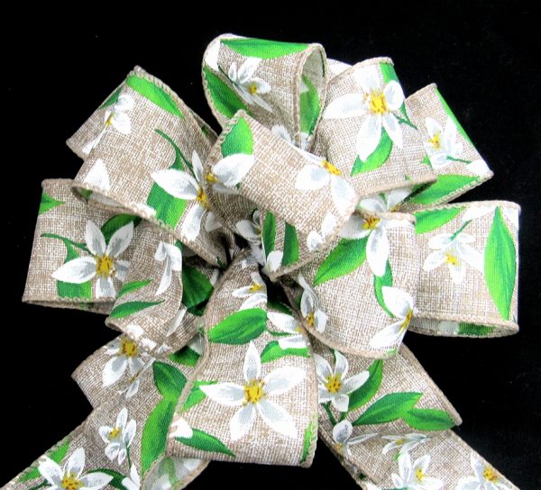 Lilly Ribbon