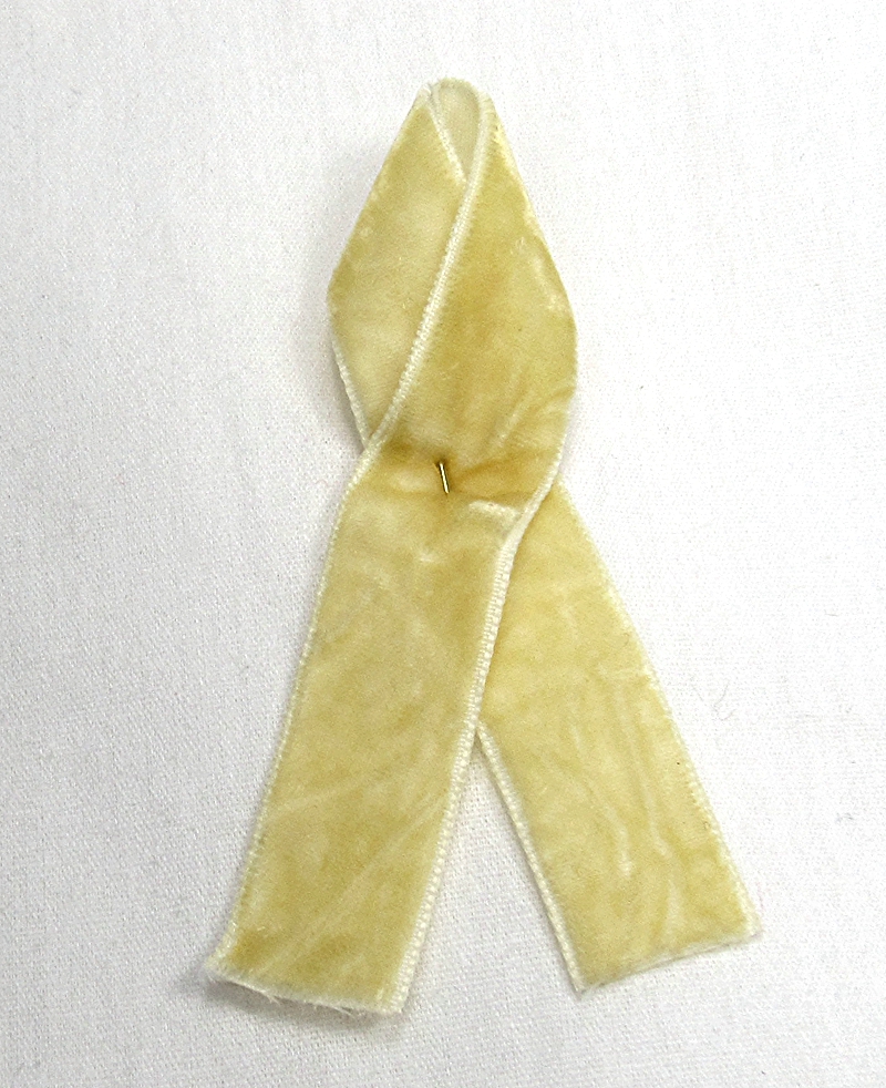 Crushed Velvet Ribbon from American Ribbon Manufacturers