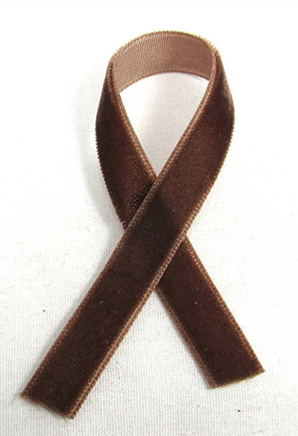 thin velvet ribbon