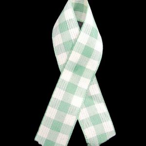 mint check ribbon
