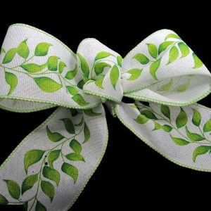 Italian Ruscus ribbon