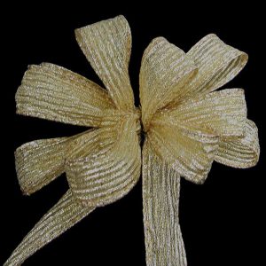 sheer metallic ribbon