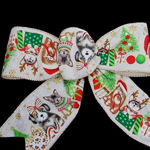wired. doggy ribbon